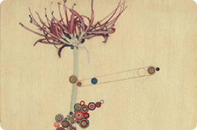 What is the Difference Between Coenzyme Q10 and Ubiquinol