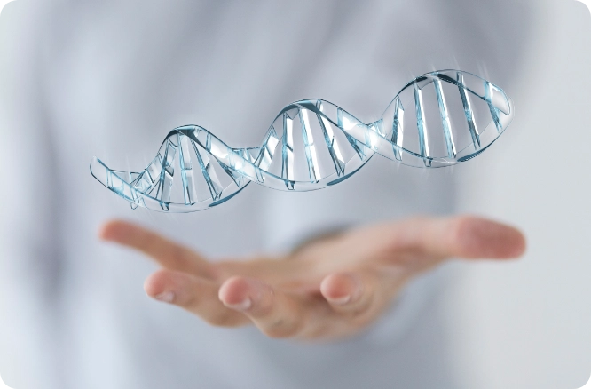 Hand with palm face up and a hand-size DNA strand artwork floating above the hand.